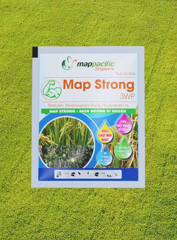 MAPSTRONG