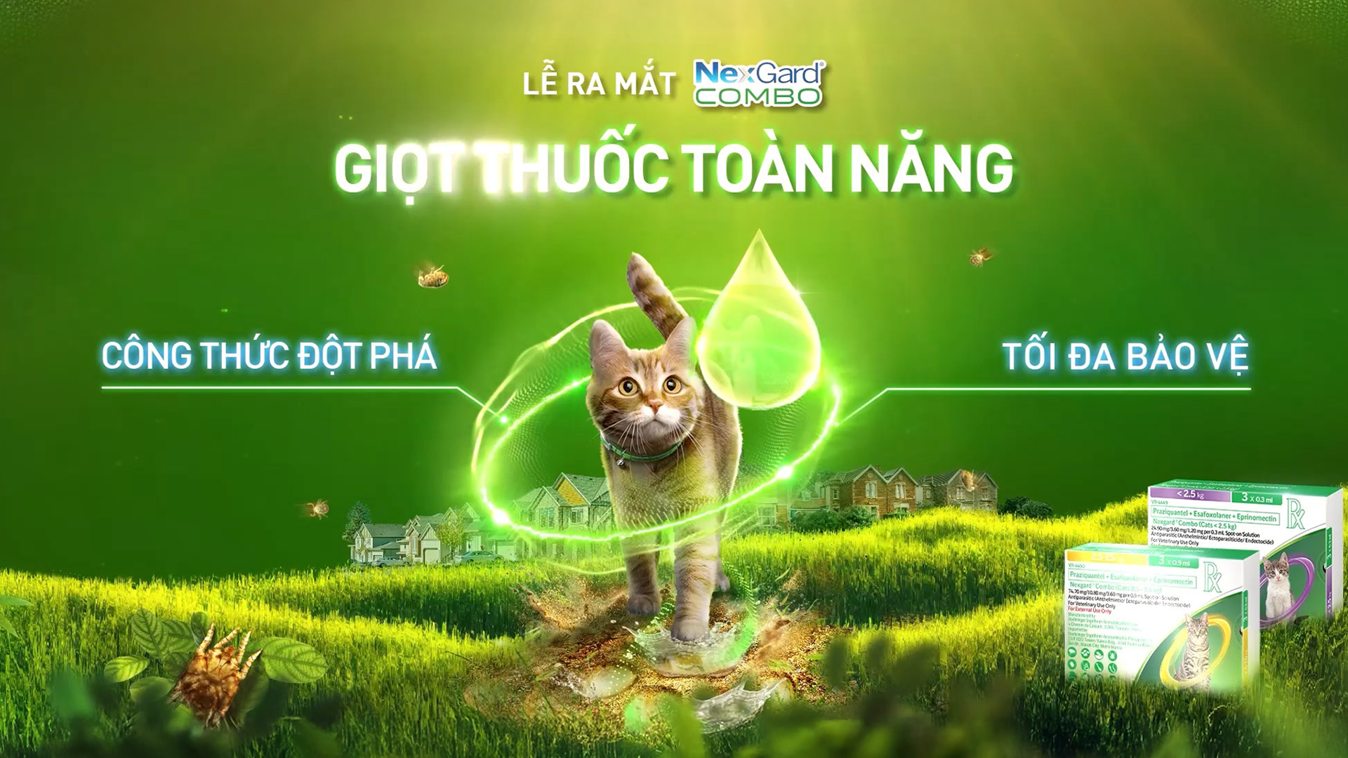 Ra mắt sản phẩm NGC Cat giúp bảo vệ mèo